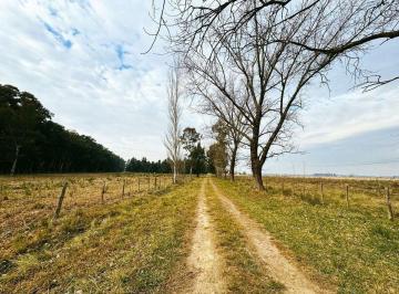 Campo · 203ha · Campo en Venta La Plata Abasto