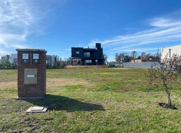 Terreno · 450m² · Lote en Venta en Santa Elisa Pilar del Este