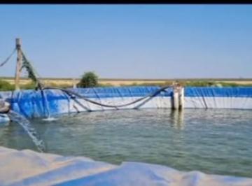 Campo · 123000ha · 8 Ambientes · Venta de Campo Agrícola Ganadero Santiago del Estero