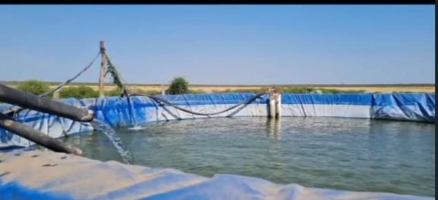 Campo · 123000000ha · 8 Ambientes