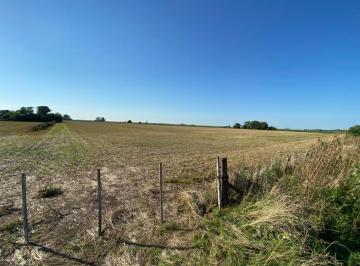 Campo · 93500m² · Campo Agricola de 9,3 Ha en Ramallo