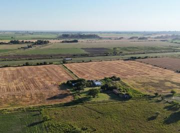 Campo · 150m² · 4 Ambientes · Campo de 12,5 Ha en San Nicolas (Sobre Autopista Bs As Rosario)