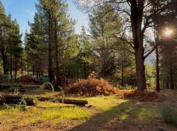 Terreno · 805m² · 2 Terrenos de 805 m² en Epuyen Chubut - Altos de Epuyen - $19.500 Usd