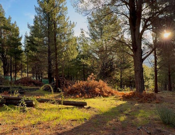 Terreno · 805m²