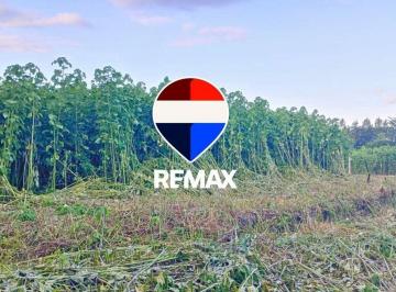 Terreno · 4000m² · Terreno en Venta en Cerrillos