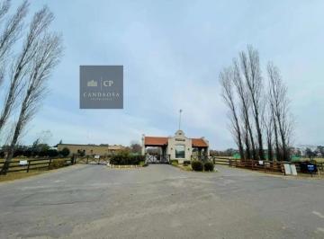 Terreno · 1100m² · Rbs. Venta Lote Interno Central en El Barrio Los Palenques