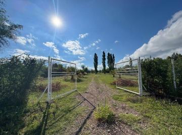 Campo · 3ha · Venta Finca Terreno Ideal Para Cabañas Turisticas