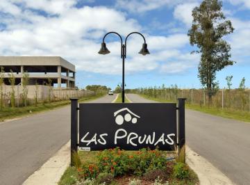 Terreno · 696m² · Venta de Terreno en Barrio Privado Las Prunas - Mar del Plata