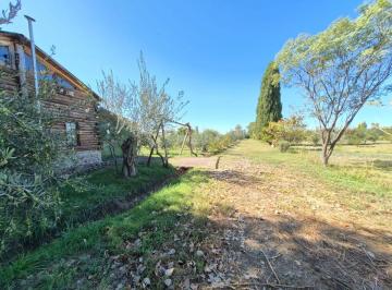Campo , San Roque · Finca con Cabaña