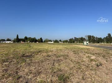 Foto Principal · Lote Terreno en Venta Barrio La Posta Pilar Eco Friendly Interno # 464 m² #id 26852