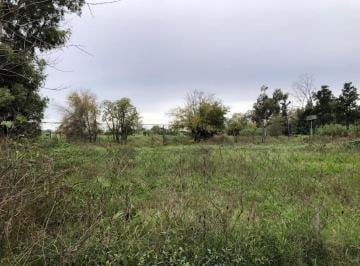 Terreno · 23750m² · Terreno - Ingeniero Maschwitz