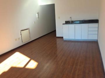 Departamento · 34m² · 1 Ambiente · Alq Monoambiente C/balcon y Sum, Apto Prof, Villa del Parque