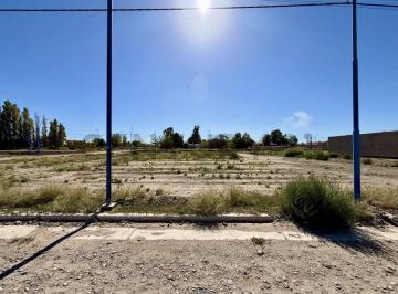 Terreno · 288m² · Lotes en Venta (3) Contiguos en Barrio El Palmar de La Ciudad de General Roca
