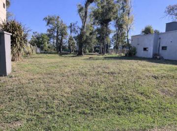 Terreno · 46332m² · Lote en Venta Alvarez del Bosque