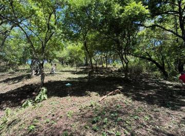 Terreno · 1300m² · Terreno en San Lorenzo