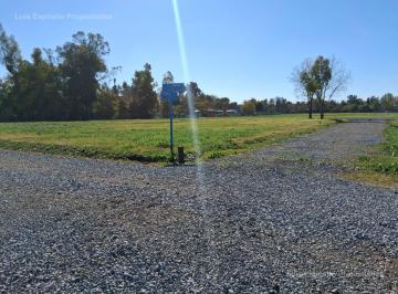 Terreno · 300m² · Preventa Lotes en Francisco Alvarez