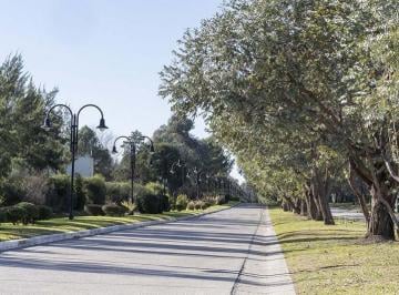 Terreno · 708m² · Terreno en Venta Saint Thomas Este Oeste - Posibilidad de Doble Lote
