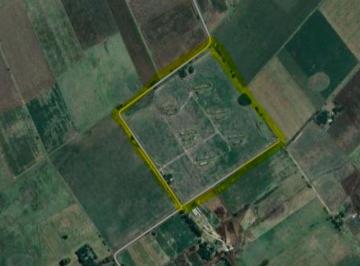 Terreno · 320000m² · Venta Campo en Navarro