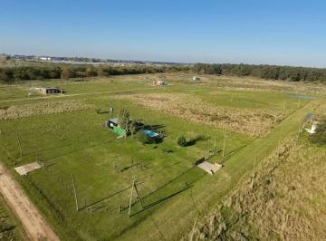 Terreno , La Plata · Venta de Lotes en Abasto - La Plata