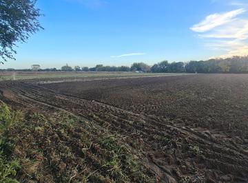 Terreno en Venta   · Venta Campo Camino a San Carlos