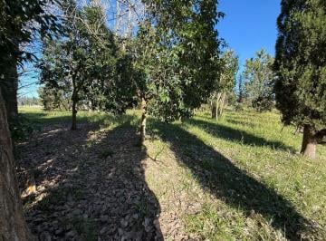 Terreno · 1000m² · Venta Lote Sector Aeronáutico Aero Country Club Eaa Acc