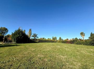 Terreno · 1000m² · Urgente Terreno de 1000 m² en Venta en Aero Country Club