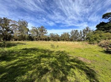 Terreno · 25000m² · Fraccion de Campo 2 y 1/2 Ha - Zona Boqueron - Mar del Plata - Alquiler