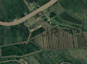 Campo · 1490m² · 7 Ambientes · Venta 449 Hectáreas – Paraná Miní - Delta de San Fernando