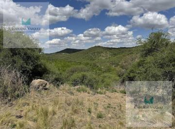 Campo · 15000m² · Campo en Villa del Totoral