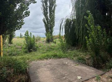 Terreno · 1000m² · Lote en Venta Calle Terrada Lujan de Cuyo.