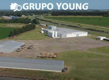 Fondo de comercio · 8000m² · 10 Ambientes · Excelente Planta Industrial en Actividad - San Pedro Bs As.