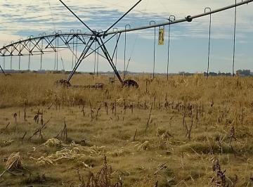 Campo · 3250000ha · Campo Agrícola 325 Ha I, II y III Sobre Ruta 31 Entre Salto y Rojas, Buenos Aires, Argentina