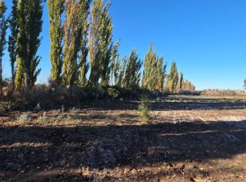 Campo , Lavalle · Capital Prop Vende Finca Inculta 8.2 Ha en El Vergel (Lavalle)