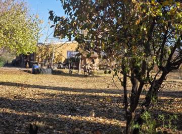 Campo , Lavalle · Capital Prop Vende Finca de 29.2 Hectáreas El Vergel, Lavalle