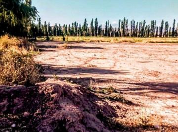 Terreno · 1400m² · Terreno de 1400 m² en Barreal - Calingasta