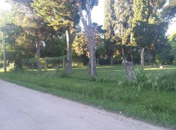 Terreno · 665m² · Lote en Venta Arturo Segui