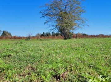 Terreno · 267m² · Venta Lotes en Oliveros Sup 267 m² - Lote N