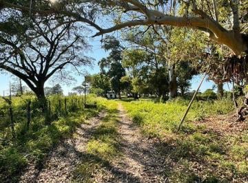 Campo · 55ha · Campo en Venta con Financiacion a 10 Min de Goya