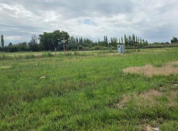 Terreno · 500m² · Venta Lote en Barrio Rosa Mosqueta, Los Corralitos