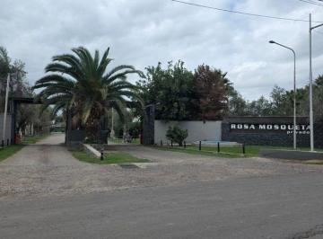 Terreno · 1000m² · Venta Lote en Barrio Rosa Mosqueta, Los Corralitos