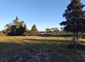 Foto · Lote Sobre Ruta 36