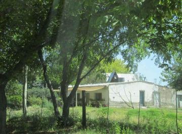 Campo · 2ha · Terreno 2,5 Has en Venta La Consulta Valle de Uco