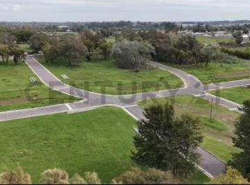 Terreno · 375m² · Lotes en Venta San Juan Bautista - Pilar