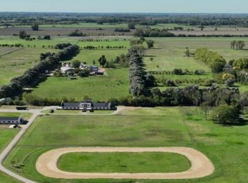 Campo · 200m² · Caballeriza en Alquiler en Open Door