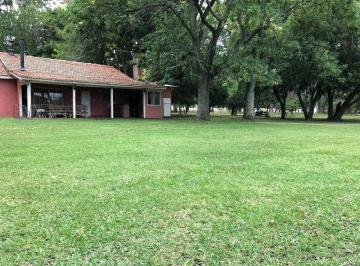 Campo · 10ha · Campo en Venta 5 Ha Exaltacion de La Cruz