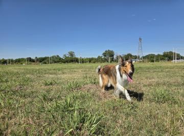 Terreno · 312m² · Terreno Lote en Campo Madero, Ibarlucea, en Venta