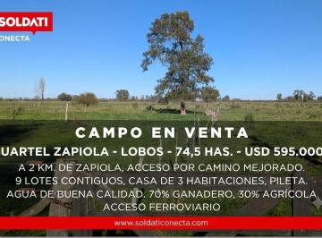 Campo · 100ha · 4 Ambientes · Campo Mixto de 74,5 Has en Zapiola con Casa, Pileta y Excelente Acceso - Venta