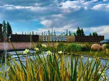 Terreno · 300m² · Rematamos - Lote Barrio El Bosque