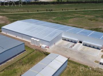Bodega-Galpón · 11500ha · Alquiler - Nave Industrial en Zarate - Zona Norte