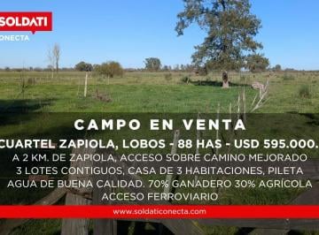 Casa · 100ha · 4 Ambientes · Campo Mixto de 88 Has en Zapiola con Casa, Pileta y Excelente Acceso - Venta